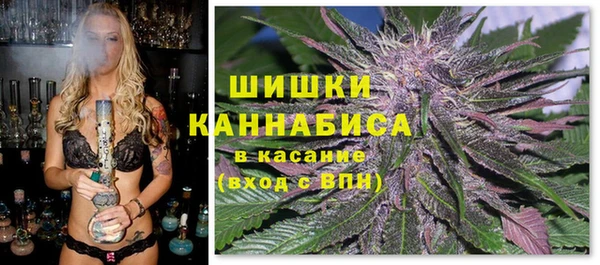 шишки Баксан