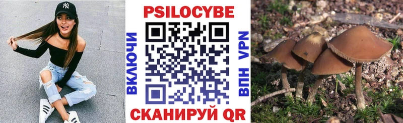 Галлюциногенные грибы MAGIC MUSHROOMS  Чегем 